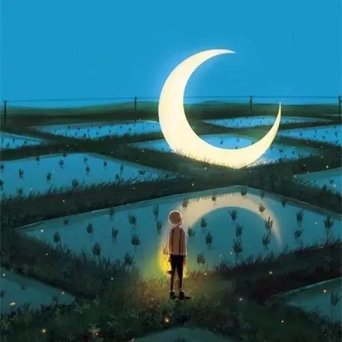 一星期一本书的主页