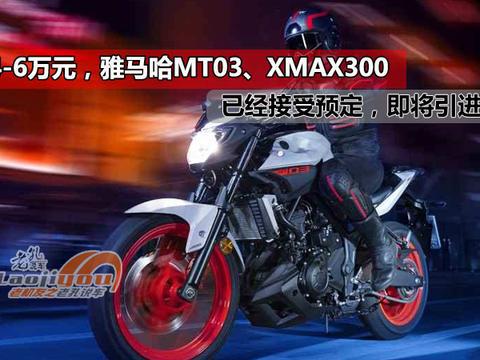 4-6万元，雅马哈MT03、XMAX300已经接受预定，即将引进销售