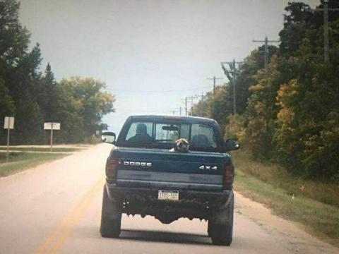 想挑战皮卡越野？你还需要一辆长城炮越野皮卡这样的得力伴侣