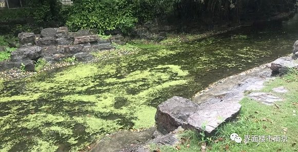 2019年百强物业排名出炉,有你家物业吗?