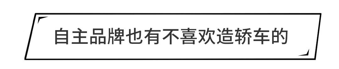 路虎要造轿车？看起来还挺顺眼的