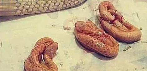 女子给宠物蛇喂吃的,发现它在生宝宝,接下来的画面让人意想不到