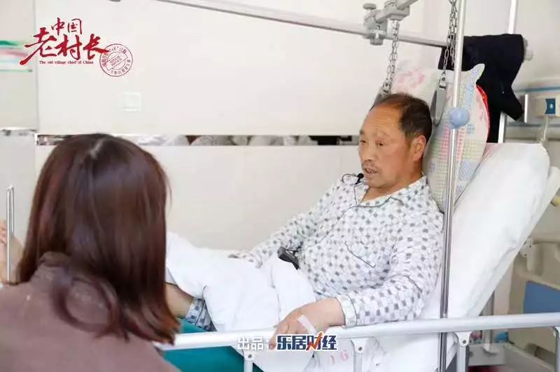 周文兴板栗熟了中国老村长