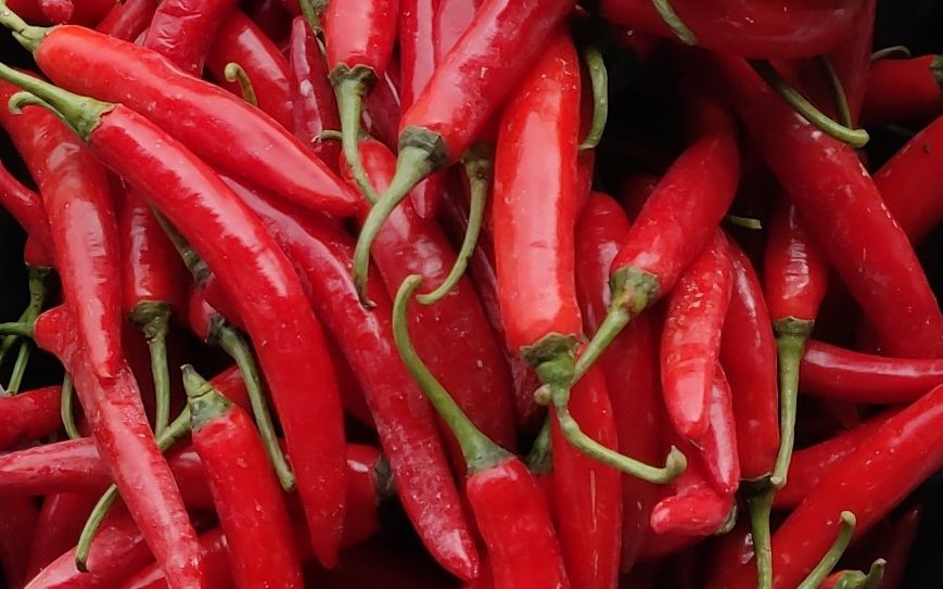 从23元到15元 小米椒和美人椒价格如坐过山车