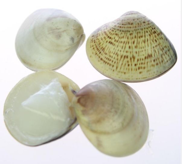 曾经风靡一时的蛤蜊油，如今却成了正在消失的老物件