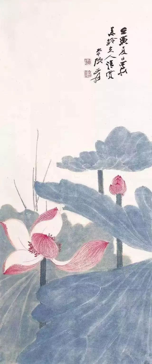 张大千画的荷花,被徐悲鸿赞到天上去了!