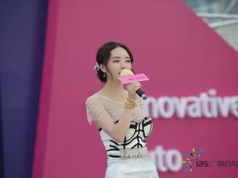 六月石家庄国际车展，6月6日正定国际会展中心，端午假期盛大开幕