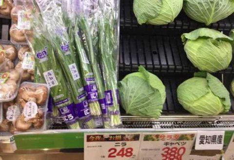 想知道在日本生活一天要花多少钱？这物价你能接受吗
