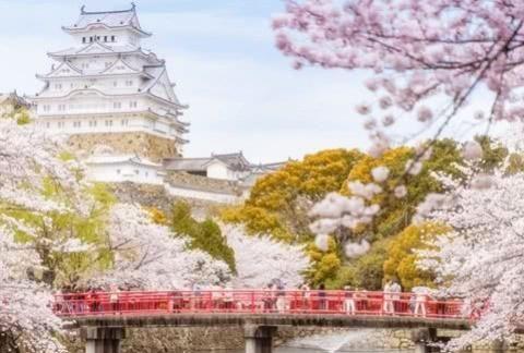 这里有“电动车“的最新资讯请不要错过