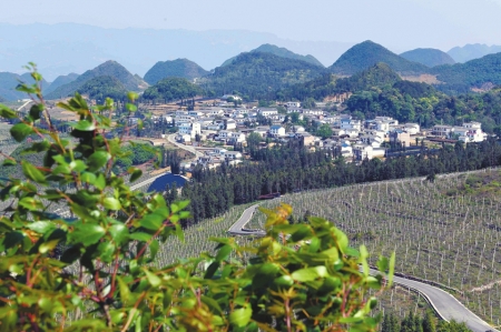 塔县排依克村的人口和环境_人口普查(3)