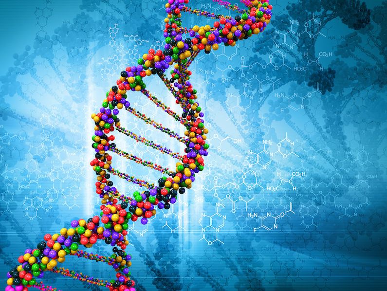 人体内75%基因是垃圾? “垃圾DNA”吐露人与猩猩差异 1 人体内75%基因是垃圾? “垃圾DNA”吐露人与猩猩差异