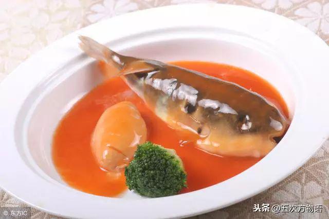 想吃河豚鱼吗？注意，只有两种是合法的