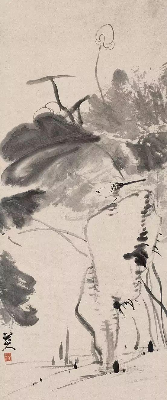 八大山人笔下的荷,可乘凉!