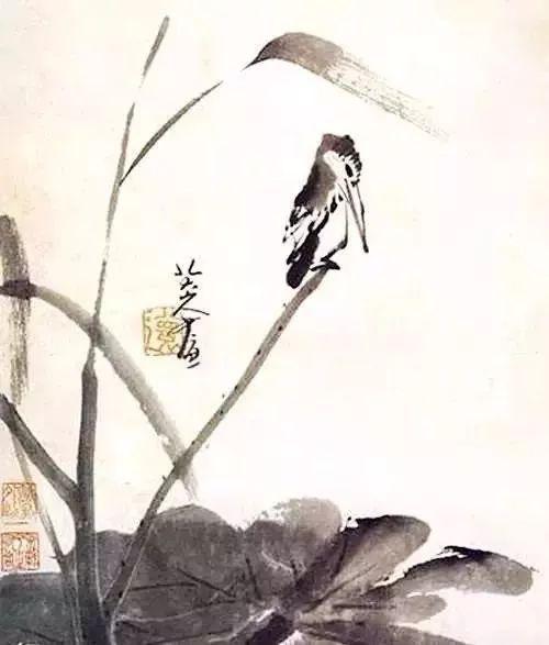 八大山人笔下的荷,可乘凉!