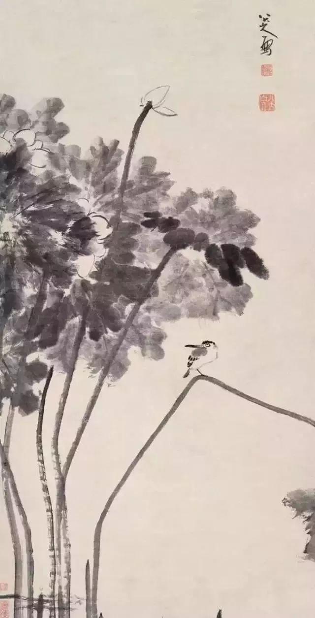 八大山人笔下的荷,可乘凉!