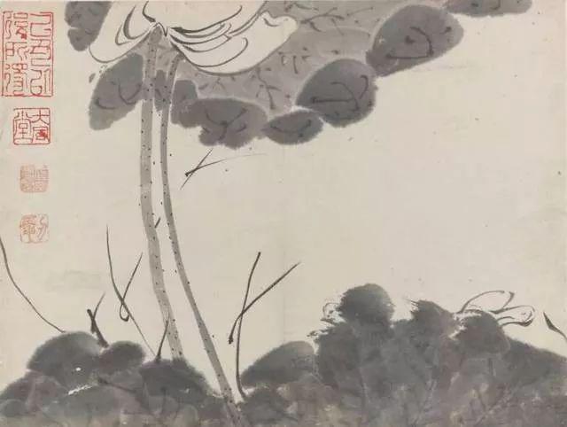 八大山人笔下的荷,可乘凉!