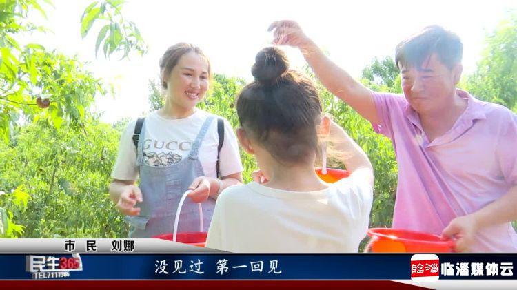 临淄：河崖头处淄河边　珍珠蟠桃串串红