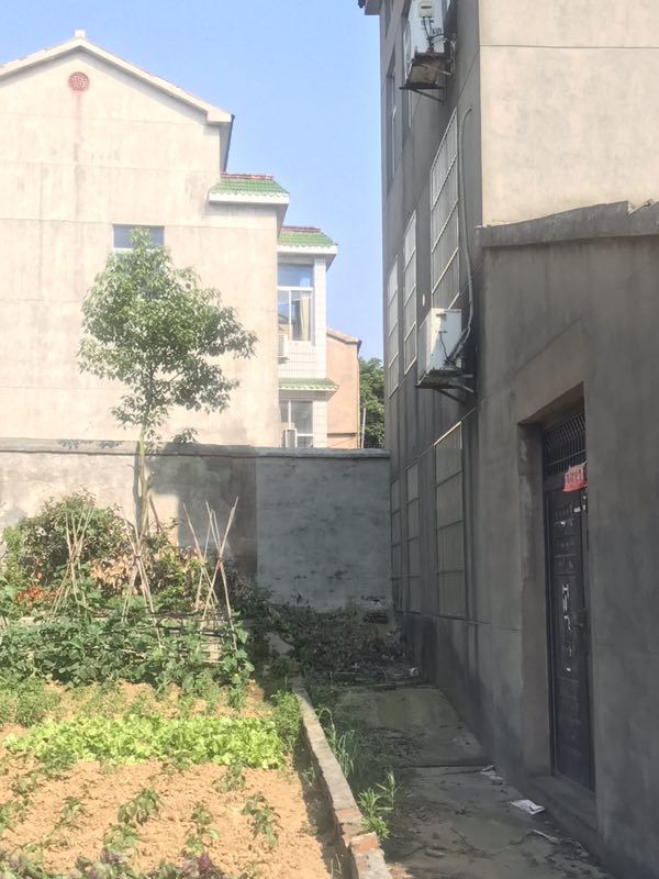 姐弟俩闹矛盾后,两家房子中间修了一堵墙。澎湃开心炸金花
记者 何利权 图
