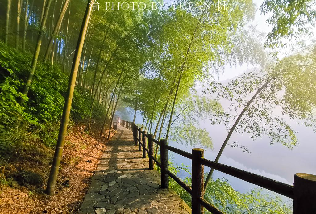 雾漫小东江的正确打开方式,不只江面薄雾与渔船,更有步道美如画 雾漫小东江的正确打开方式,不只江面薄雾与渔船,更有步道美如画