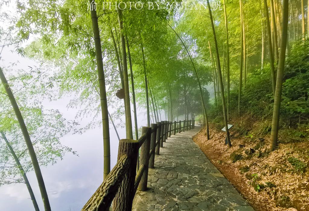 雾漫小东江的正确打开方式,不只江面薄雾与渔船,更有步道美如画 雾漫小东江的正确打开方式,不只江面薄雾与渔船,更有步道美如画