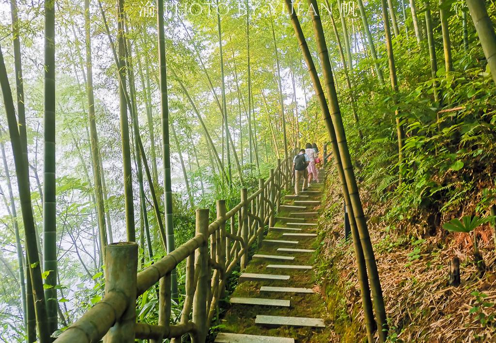 雾漫小东江的正确打开方式,不只江面薄雾与渔船,更有步道美如画 雾漫小东江的正确打开方式,不只江面薄雾与渔船,更有步道美如画