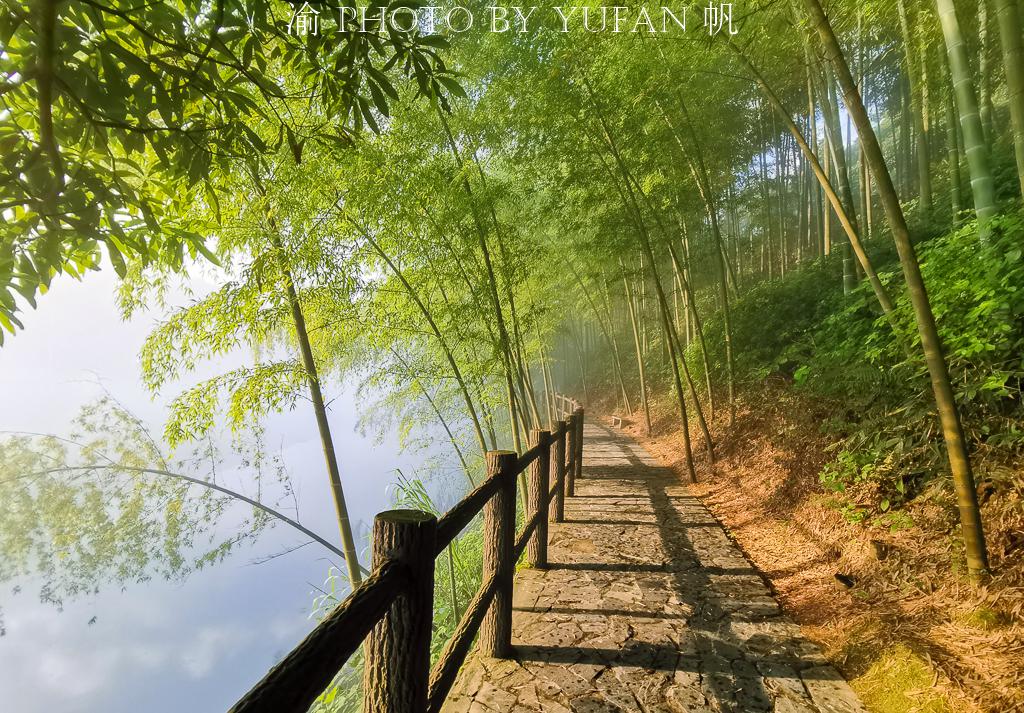 雾漫小东江的正确打开方式,不只江面薄雾与渔船,更有步道美如画 雾漫小东江的正确打开方式,不只江面薄雾与渔船,更有步道美如画