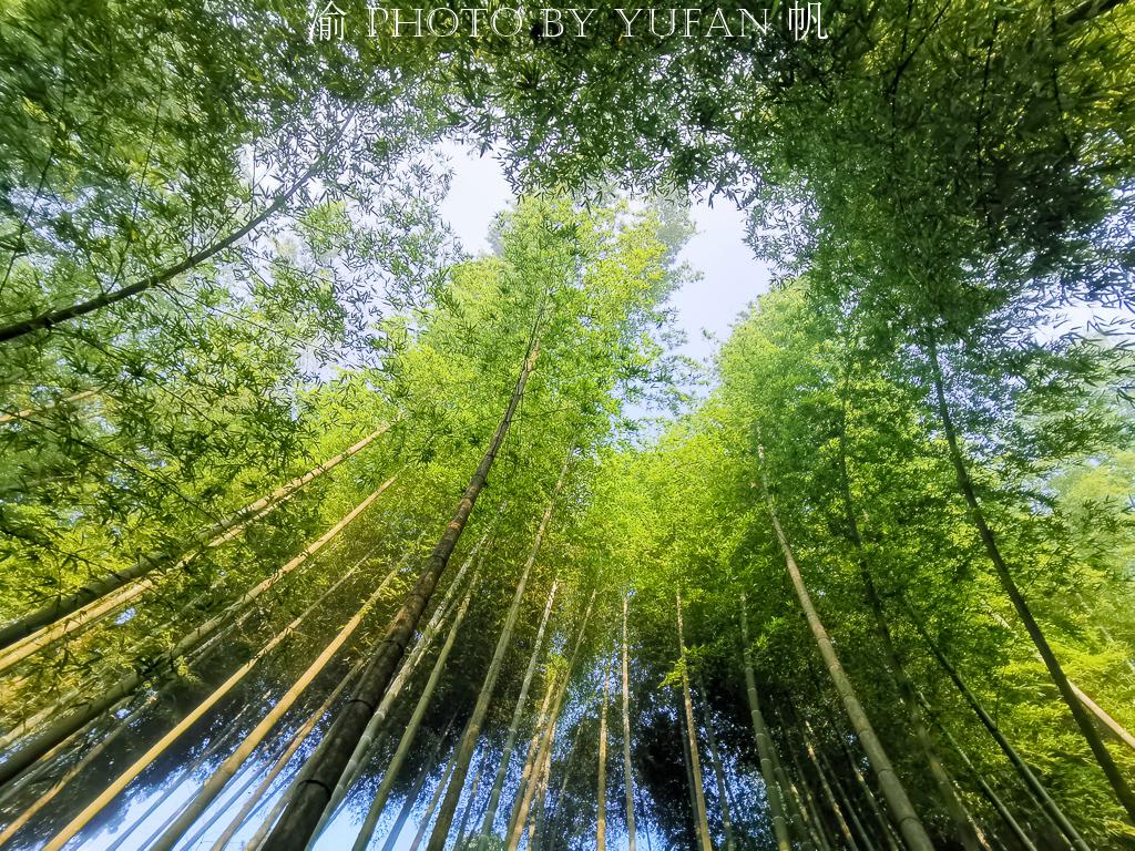 雾漫小东江的正确打开方式,不只江面薄雾与渔船,更有步道美如画 雾漫小东江的正确打开方式,不只江面薄雾与渔船,更有步道美如画