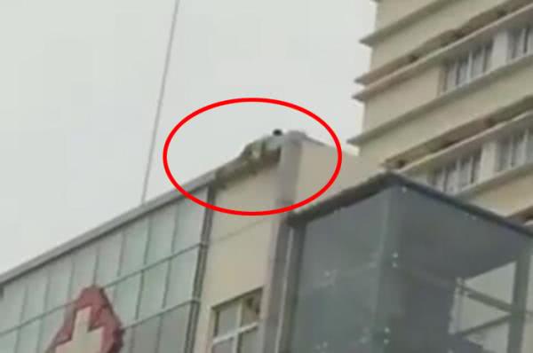 小伙开车碰人后情绪激动要跳楼 只因一句话