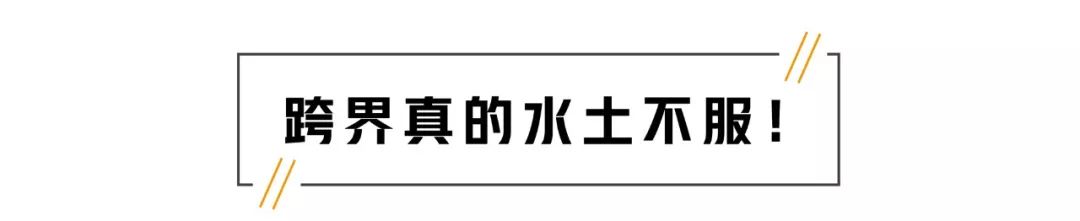 15万内操控最好的合资车之一推跨界版车型，能火吗？！