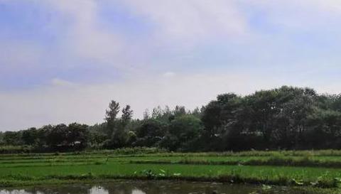 信阳平桥区历史演变 平桥区有哪些好玩景点