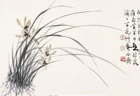 兰花的花语和象征意义,兰花有什么象征