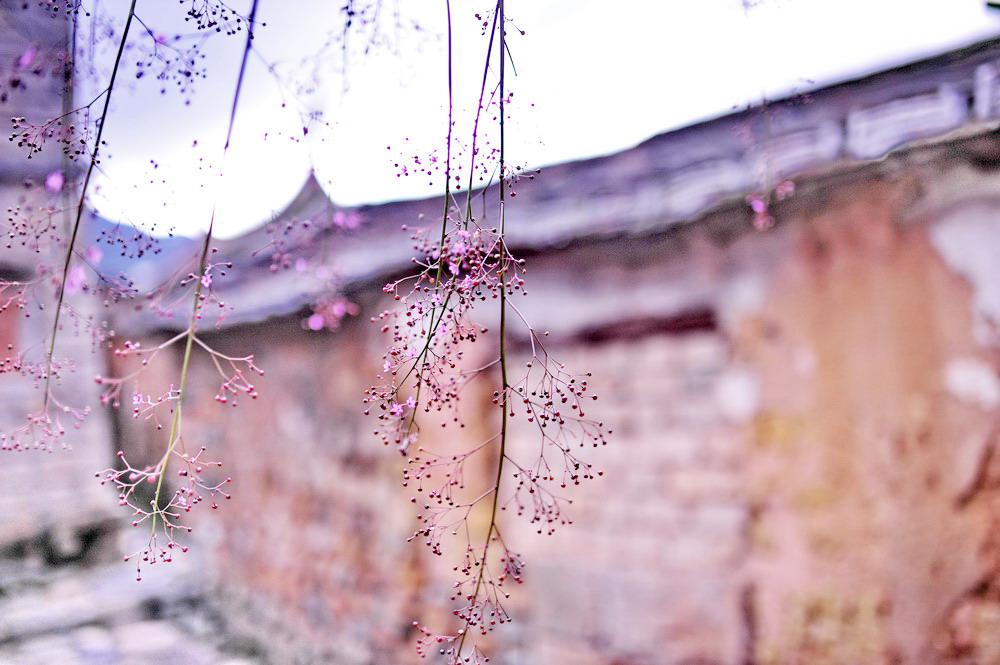 【原创】相约古山重,我来了,正好你也在