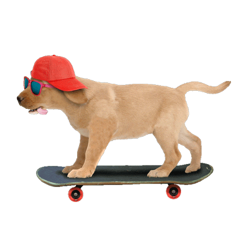 世界滑板日：占领的不仅是街道，抢回的还有属于你的“地盘”滑板地盘街道_新浪新闻