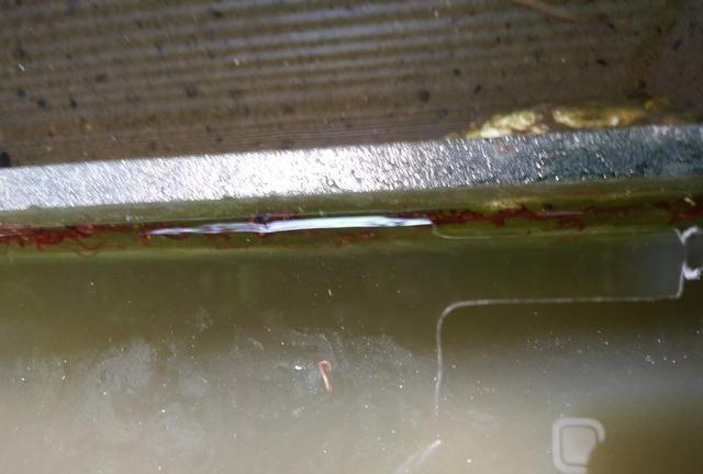 我的鱼缸里是怎么生出来血红虫的,需要可以培