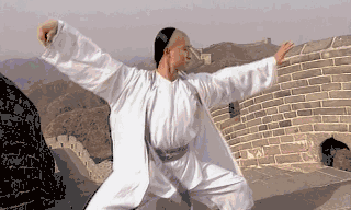 带你了解真实的传统武术太极拳