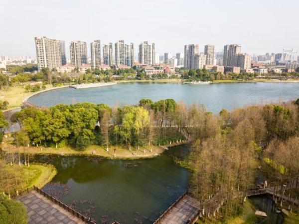 宁波日湖公园半日游,黄金沙滩堆沙堡,玉兰树下拍美照