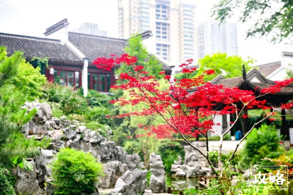 别总去中山陵夫子庙啦！甘熙故居才是南京夏季一日游的好去处！