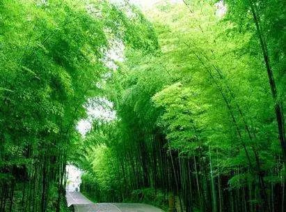 文武双全的古镇 咸宁汀泗桥镇