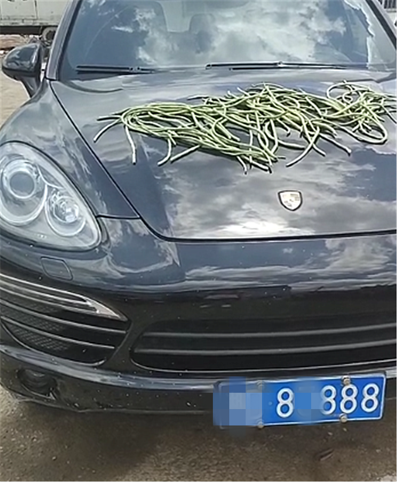 有钱任性!保时捷Macan车上晒豇豆,车价80万,挂4个8车牌