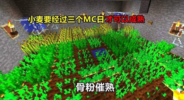 Minecraft制作面包教程 村民能合成无限面包