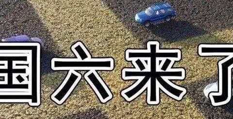 “国六”不跟大家玩了，全国各地国六暂缓实施消息相继出炉