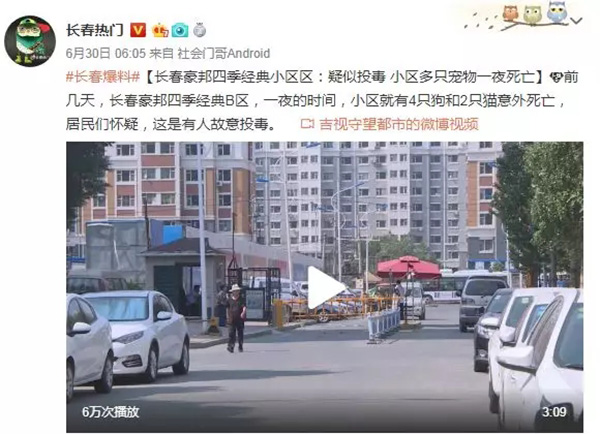 一夜间4狗2猫疑被毒死 长春一小区悬赏万元缉凶