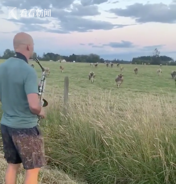 曼联5号-乐鱼app(leyu)官方网站-乐鱼官网