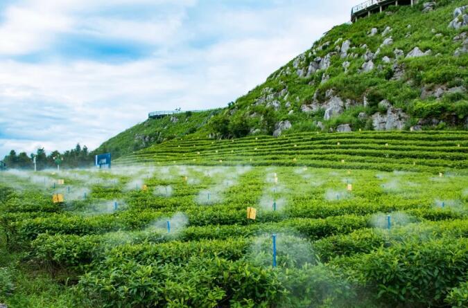 水肥一体化技术是什么?