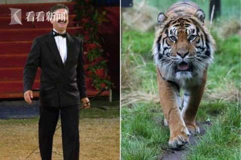 国外一驯兽师1对4训练老虎遭袭击被玩弄半小时惨死