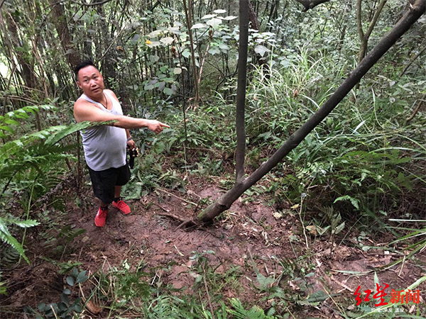 女生失踪两天后被害 嫌犯两次强奸入狱四次获减刑