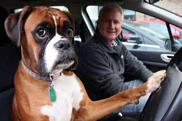 6个让女人讨厌的驾驶行为，你中枪了没有