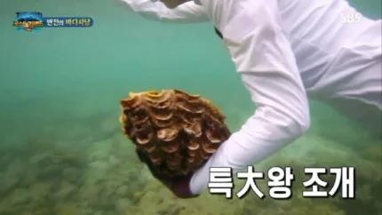 《金炳万的丛林法则》中捕捉 巨型蛤蜊镜头。