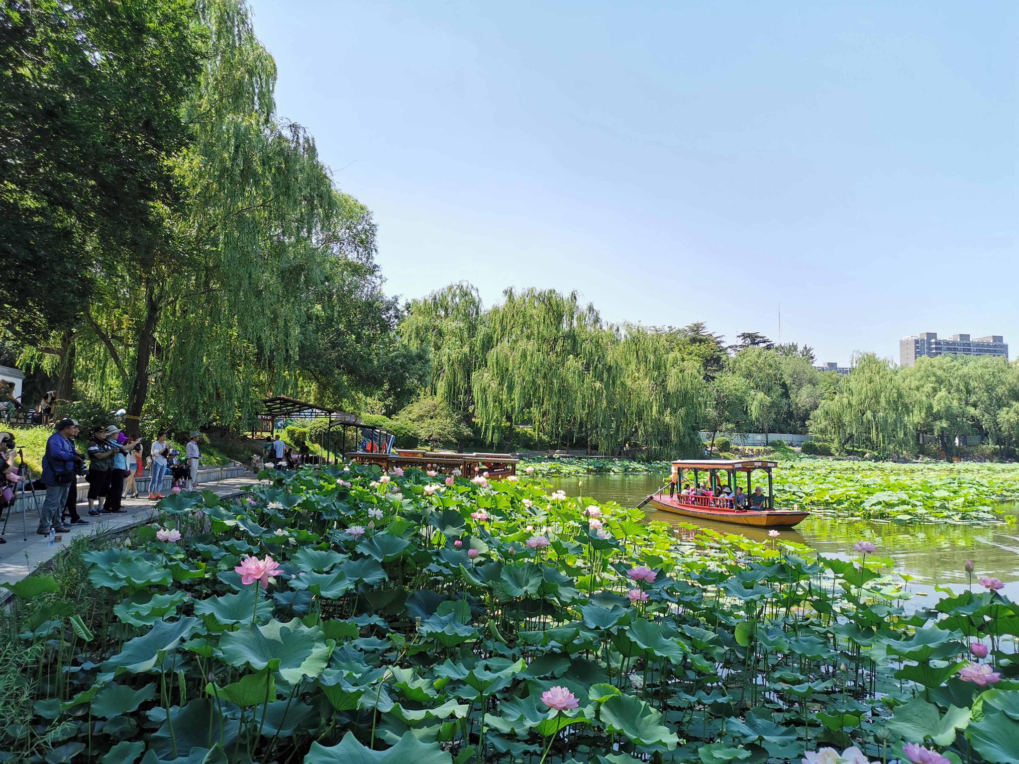 都下过雪了，怎么还不冬眠？北京紫竹院公园2米长大蛇...