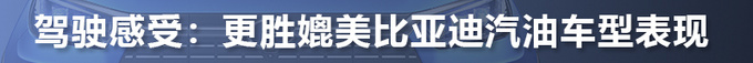 续航不逊特斯拉，价格仅是个零头，比亚迪又献黑科技？